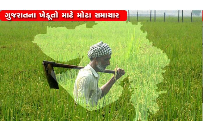ગુજરાત સરકારનો શેરડી ખેડૂતો અને ખાંડ મંડળીઓ માટે મોટો નિર્ણય : 2007થી 2015ના શેરડી ભાવ મંજૂર, 2 લાખથી વધુ ખેડૂતોને રાહત