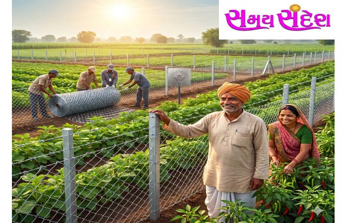 મુખ્યમંત્રી ભૂપેન્દ્ર પટેલનો ખેડૂતો માટે મોટો નિર્ણય તાર ફેન્સિંગ યોજનામાં સહાય વધારાઈ, નાના ખેડૂતોને પણ મળશે સીધો લાભ.