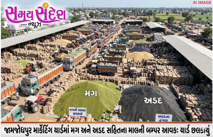 મગ અને અડદ સહિતની જણસીઓથી ઉભરાયું જામજોધપુર માર્કેટિંગ યાર્ડ.