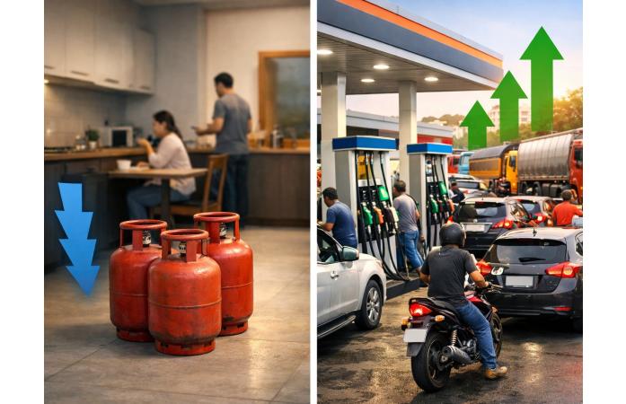 મે મહિનામાં LPG વેચાણમાં 24 ટકાનો મોટો ઘટાડો, પેટ્રોલ-ડીઝલની માંગમાં તેજી.