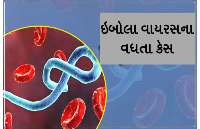 ઇબોલા સામે ભારત સરકારની મોટી પહેલ: હવે ભારત આવતાં પહેલાં મુસાફરોએ ફરજિયાત ઓનલાઈન ફોર્મ ભરવું પડશે