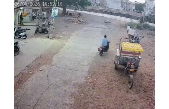 જામ ખંભાળિયામાં રખડતા શ્વાનનો આતંક: દાદા-પૌત્ર સહિત ચાર લોકોને બચકા ભર્યા, CCTVમાં કેદ થઈ ઘટના; સ્થાનિકોમાં ભયનો માહોલ