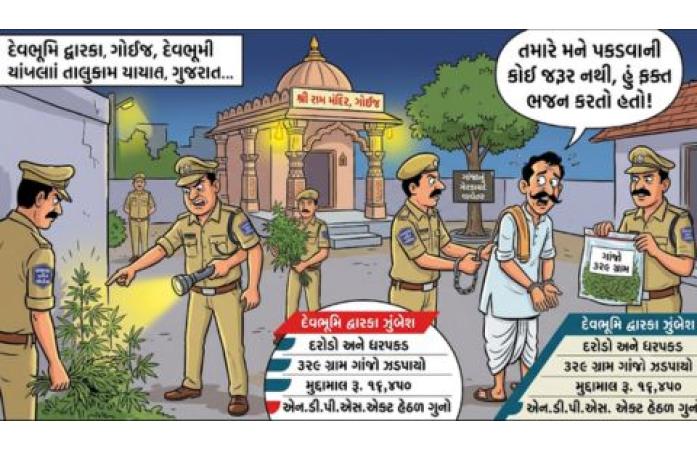 ખંભાળિયાના ગોઈંજ ગામે મંદિરના પટાંગણમાં ગાંજાનું વાવેતર ઝડપાયું: શાકભાજીના વેપારીની અટકાયત, NDPS હેઠળ ગુનો નોંધાયો.