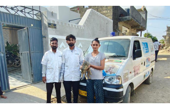 હરતા-ફરતા પશુ દવાખાનાની સેવાને 6 વર્ષ પૂર્ણ: જામનગરમાં 3.78 લાખથી વધુ પશુઓને મળી નિઃશુલ્ક સારવાર.