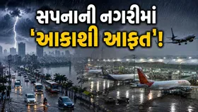 ભારે વરસાદનો કહેર: સુરત, મુંબઈ, દમણ-દીવ અને દાદરા નગર હવેલીમાં શાળા-કોલેજો બંધ