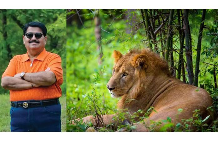 સિંહપ્રેમી પરિમલ નથવાણીની અપીલ: "ગેરકાયદેસર લાયન શો બંધ કરો, સિંહના મેટિંગ અને ફીડિંગ દરમિયાન નજીક જવાનું ટાળો"