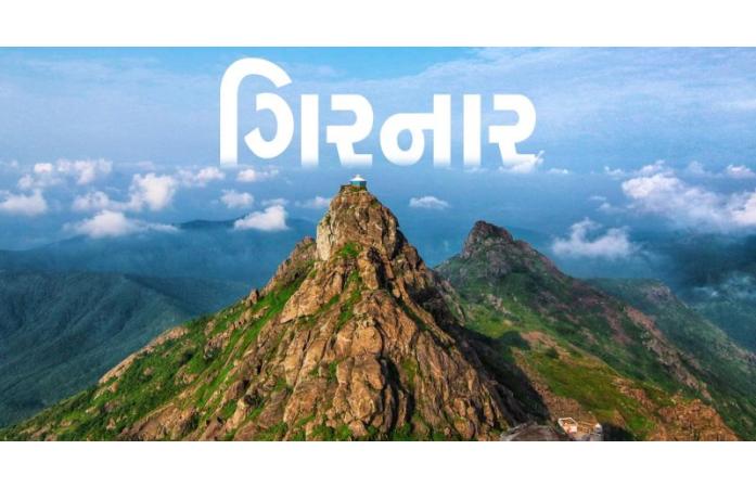 ગિરનારમાં સિંહ હુમલા બાદ સરકારનું એક્શન, કાયમી ચેકપોસ્ટ, સાઇલન્સ ઝોન અને થર્મલ ડ્રોનથી થશે દેખરેખ