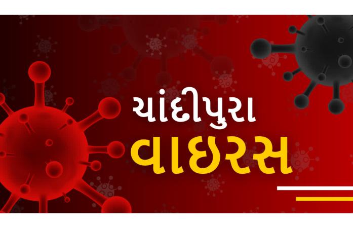 જામનગરમાં ચાંદીપુરા વાયરસના ત્રણ કેસ નોંધાતા આરોગ્ય તંત્ર એલર્ટ: ત્રણેય દર્દીઓની હાલત ગંભીર, બાળકોના માતા-પિતાને ખાસ તકેદારી રાખવા અપીલ.