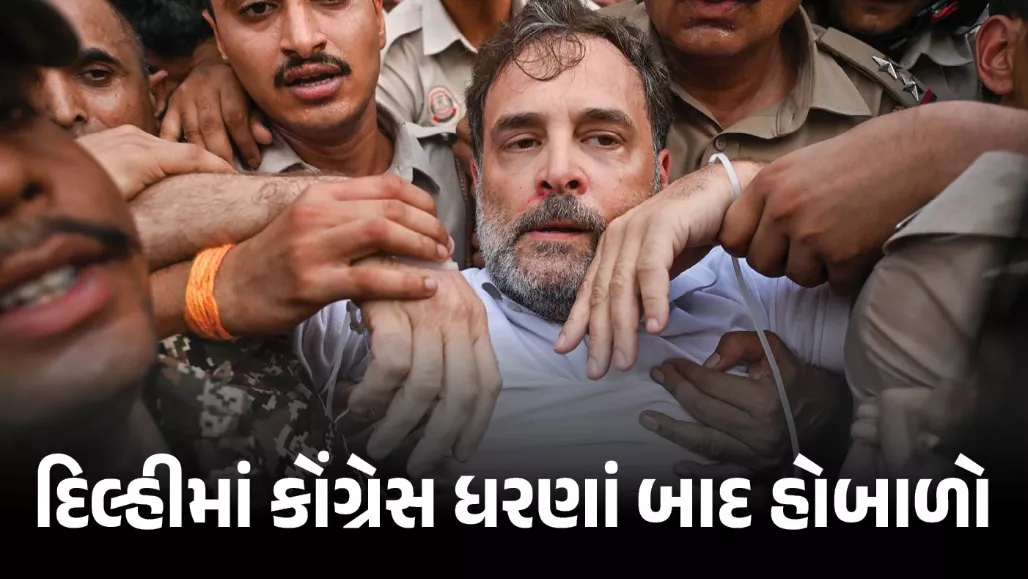 રાહુલ ગાંધી રોડ પર સૂઈ ગયા, પોલીસે ઉઠાવી અટકાયત કરી