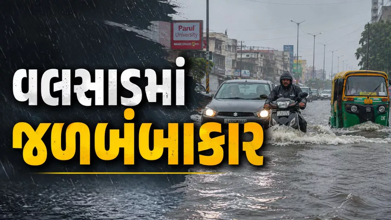 વલસાડમાં મેઘરાજાનો કહેર, 8.23 ઇંચ વરસાદથી 326 રસ્તા બંધ; જનજીવન ઠપ