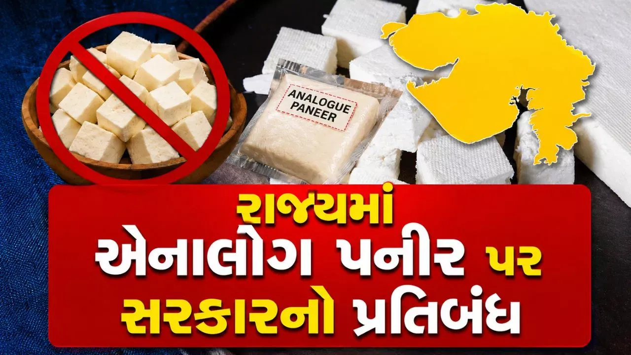 ગુજરાતમાં એનાલોગ પનીર-બટર પર પ્રતિબંધની અસર, હોટલ-રેસ્ટોરન્ટના મેનુમાં મોટો ફેરફાર