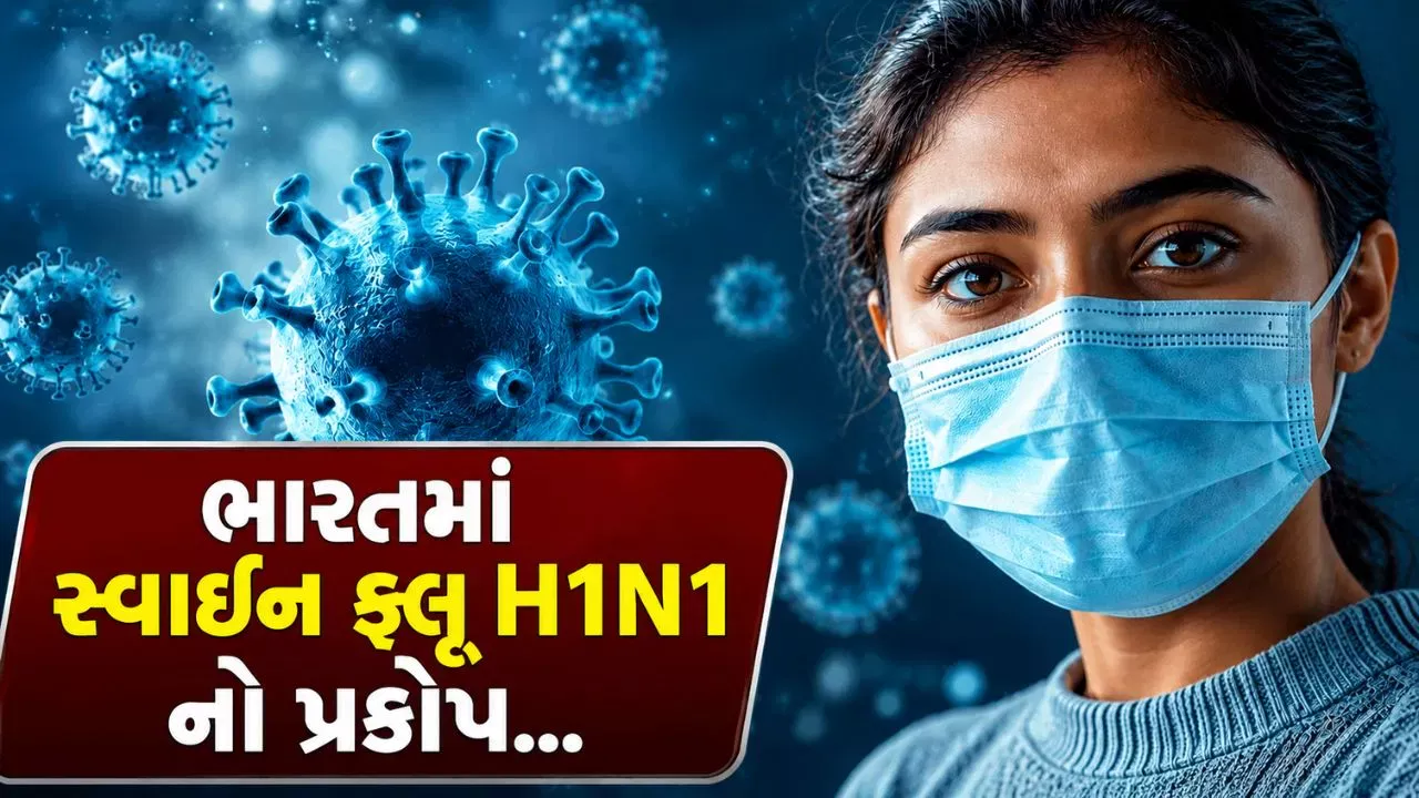 અમદાવાદમાં સ્વાઈન ફ્લૂના કેસ વધતાં IMAની એડવાઈઝરી