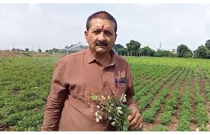 કેશોદ-જૂનાગઢમાં વરસાદના અભાવે ખેડૂતોની ચિંતા વધી, પિયત આપીને પાક બચાવવાના પ્રયાસો.