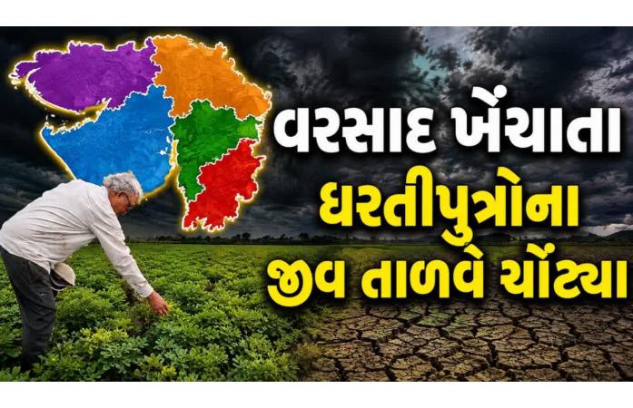 ગુજરાતમાં મેઘરાજાની ખેંચ, ખેડૂતોની ચિંતા વધી
