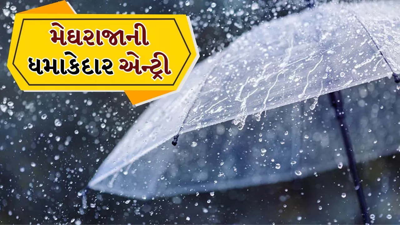 રાજ્યમાં મેઘરાજાની ધમાકેદાર એન્ટ્રી, 24 કલાકમાં 259 તાલુકામાં વરસાદ