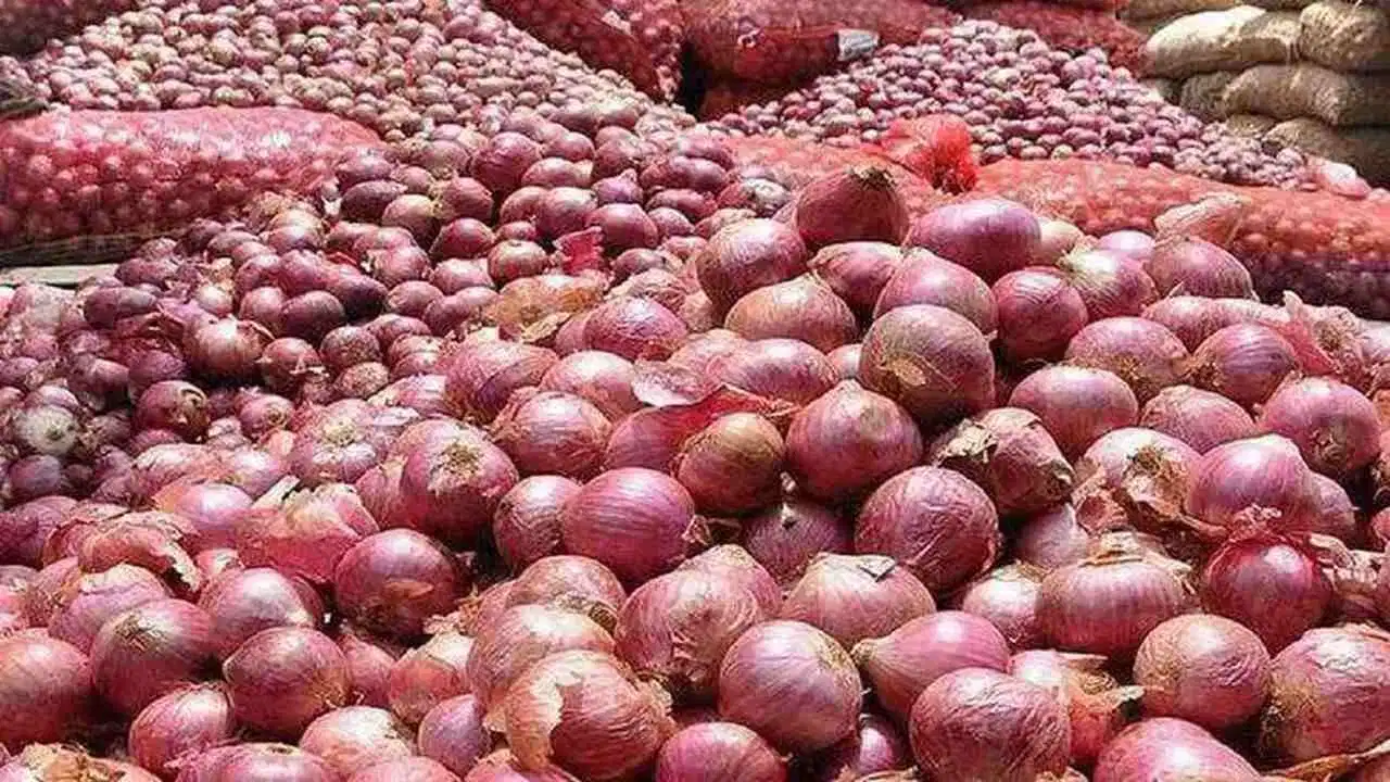 ડુંગળીના ભાવમાં ભડકો, ગૃહિણીઓનું બજેટ ખોરવાયું