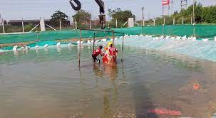 જામનગર: જામનગર મહાનગરપાલિકા દ્વારા નિર્મિત કૃત્રિમ વિસર્જન કુંડમાં નગરજનો દ્વારા 1513 પ્રતિમા વિસર્જિત કરાઈ