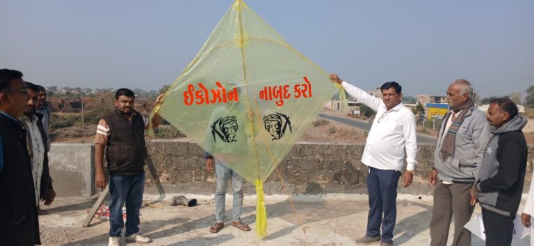 ગીરમાં ઉતરાયણના દિવસે આપનેતા પ્રવીણ રામે જાહેર કરેલા પ્રોગ્રામ અંતર્ગત ઠેર ઠેર...