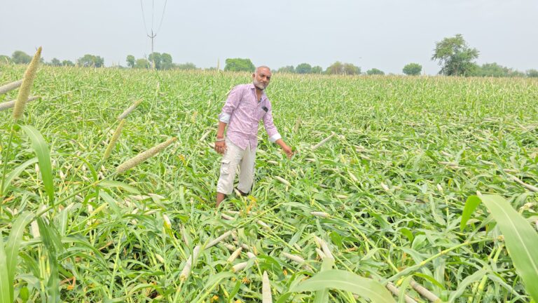 કુદરતી પ્રકોપ સામે ખેડૂતો લાચાર