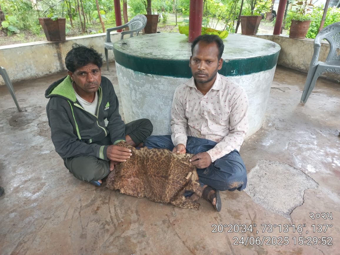 વલસાડ જિલ્લામાં વન્યજીવ અંગોના ગેરકાયદેસર વેપાર પર વન વિભાગની સંયુક્ત કાર્યવાહી