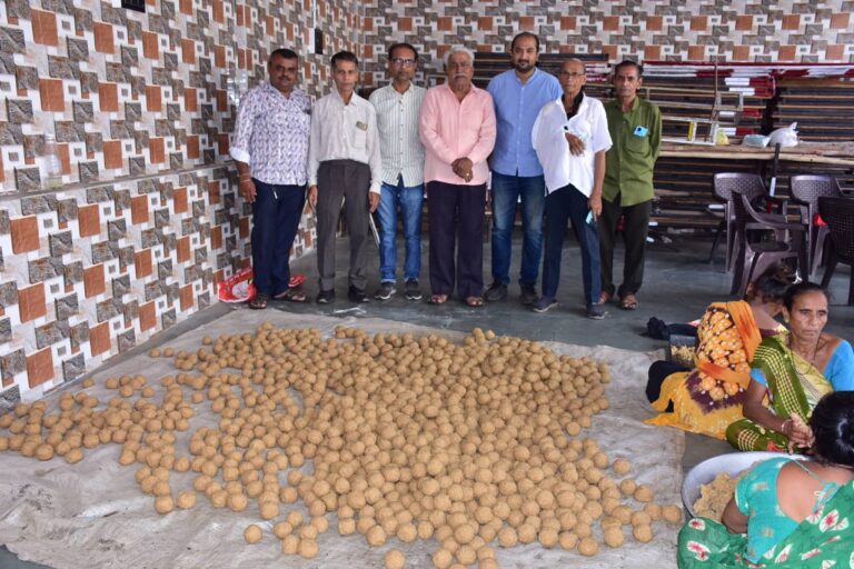 જામનગરમાં મેઘરાજાની કૃપા માટે અનોખી અર્પણા: ગૌવંશને 8000 ઘઉંના લાડુ અર્પણ કરીને કરાઈ વરસાદ માટે પ્રાર્થના