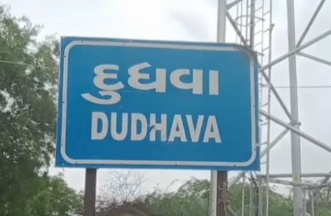 દુધવા પ્રાથમિક શાળામાં શિક્ષકોની હૃદયદ્રાવક ઘટ – 310 બાળકોએ માત્ર 3 શિક્ષકના ભરોસે શિક્ષણ મેળવવાનું બનાવ્યું પડકારભર્યું યથાર્થ