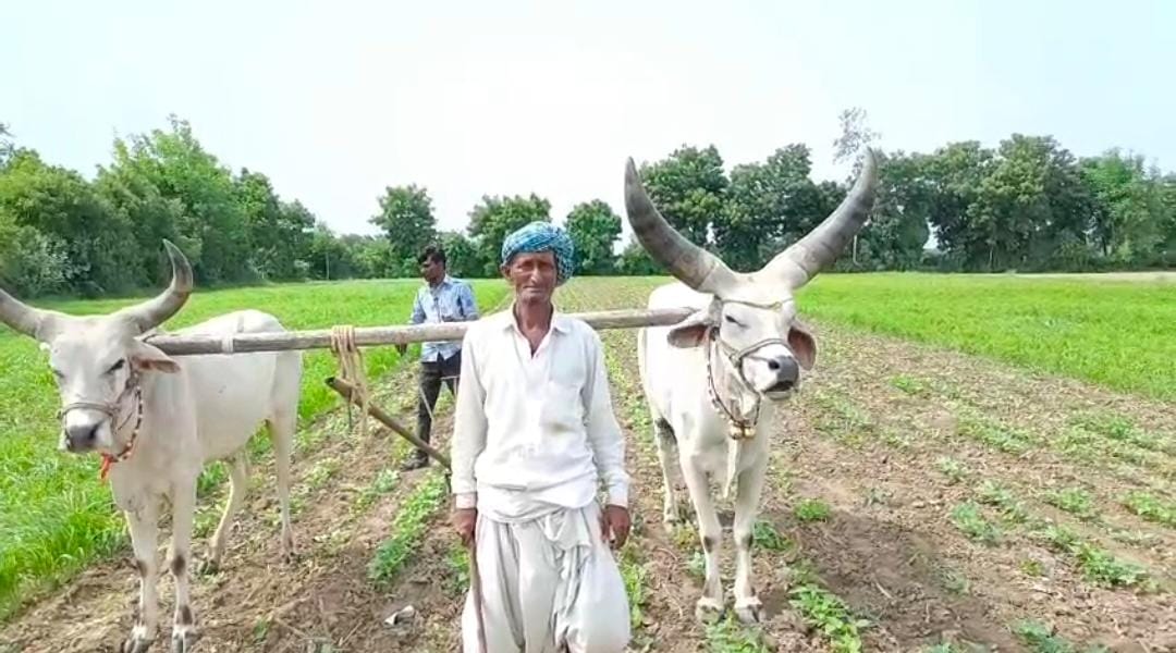 લોટીયાના વાહતાજીભાઈ ઠાકોર: પ્રાકૃતિક ખેતીથી ખેડૂત સમાજમાં લાવી નવી જાગૃતિ