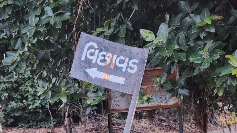 વિછાવળના અમૃત સરોવર ભ્રષ્ટાચાર મામલે ગુંજારું: TDO નંદાણીયા પર ગંભીર આક્ષેપ, ફરિયાદી ધીરુભાઈ ભાલિયાએ આત્મવિલોપનની ચીમકી ઉચ્ચારી