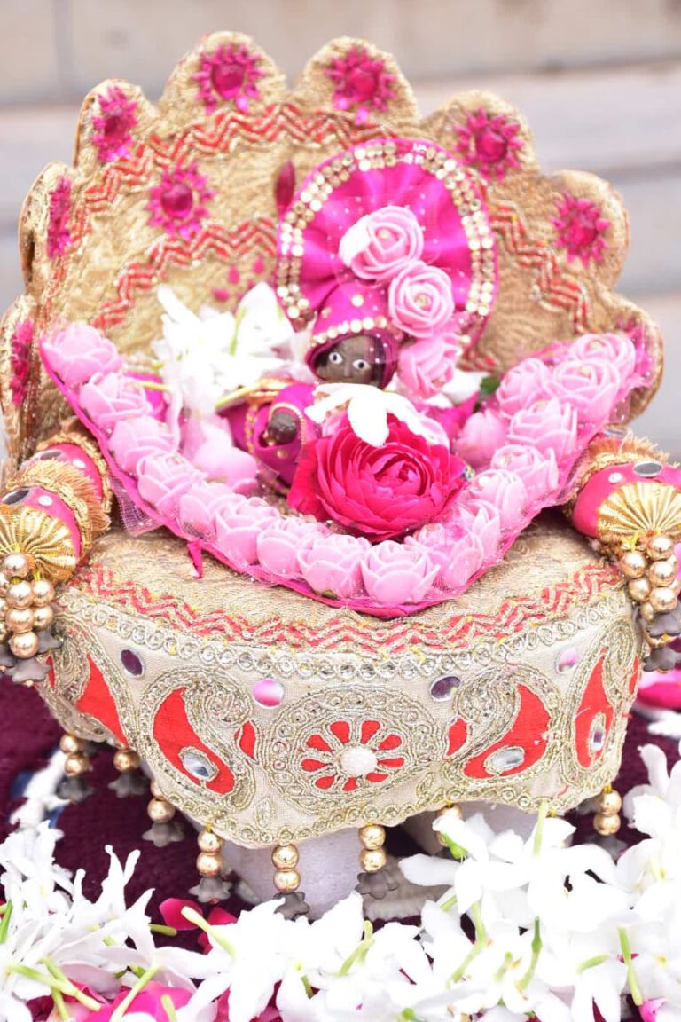 મહિલા કોલેજમાં જન્માષ્ટમીની ધામધૂમભરી ઉજવણી