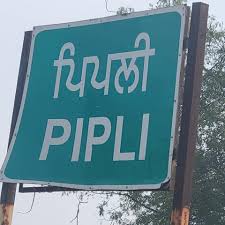 પીપળી ગામની ગ્રામસભામાં વિવાદનો વીડિયો વાયરલ : લોકતંત્રના મંચ પર તીખી જીભાજોડી, ગામજનોમાં ચર્ચા ગરમ