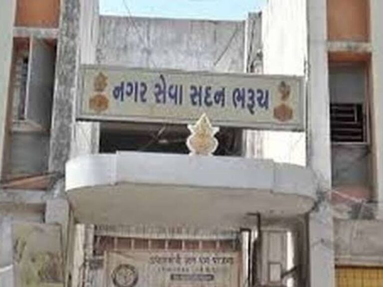 સ્વચ્છતાના નામે ઢોંગ! આમોદ નગરપાલિકાના પદાધિકારીઓએ પ્રમુખની હાજરીમાં કચરો ફેંકીને વાળ્યો, લોકજાગૃતિ અભિયાનની આડમાં લોકવિરોધ ઉભો થયો