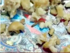 રાજકોટમાં તહેવારની મોસમમાં મીઠાઈમાંથી જીવતી ઈયળ નીકળતાં ચકચાર: જશોદા ડેરી સામે ગંભીર આક્ષેપ, આરોગ્ય વિભાગની કામગીરી પર ઉઠ્યાં સવાલો