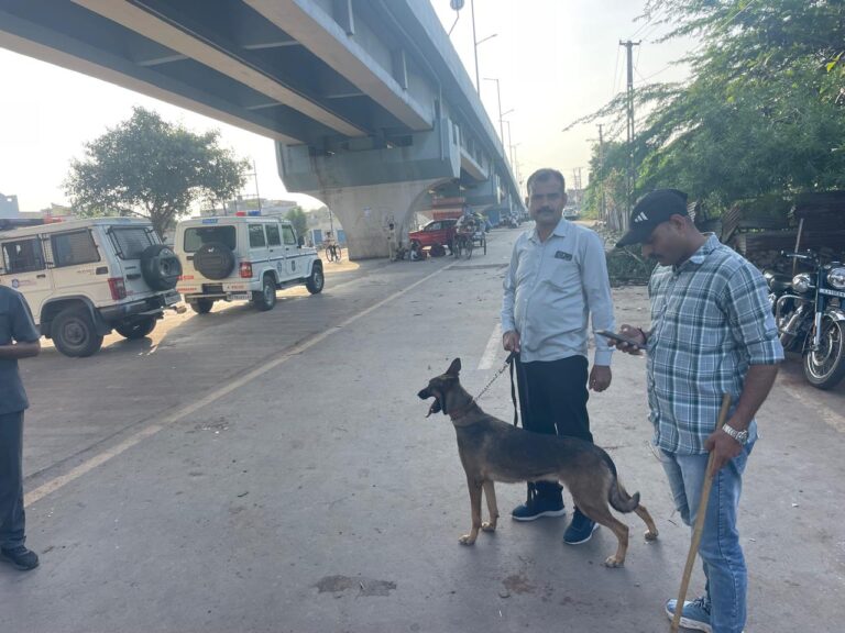 દિવાળીના તહેવારોમાં જામનગર પોલીસની ચુસ્ત સુરક્ષા વ્યવસ્થા — SOG, BDDS અને ડોગ સ્કવોડ દ્વારા શહેરભરમાં સઘન ચેકિંગ અભિયાન
