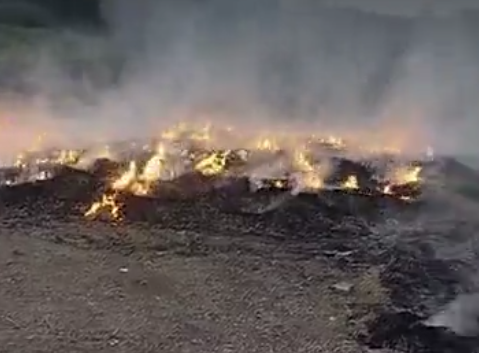 ખેતરમાં સૂકવવા મૂકેલી 700 મણ મગફળીમાં ભયાનક આગ: