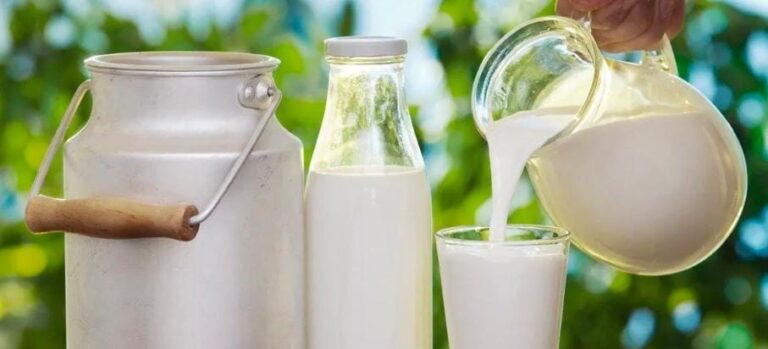 બકરીનું દૂધ કે ગાયનું દૂધ — આરોગ્ય માટે કયું વધુ લાભદાયક? વૈજ્ઞાનિક, પોષણ અને આયુર્વેદિક દૃષ્ટિકોણથી વિશ્લેષણ