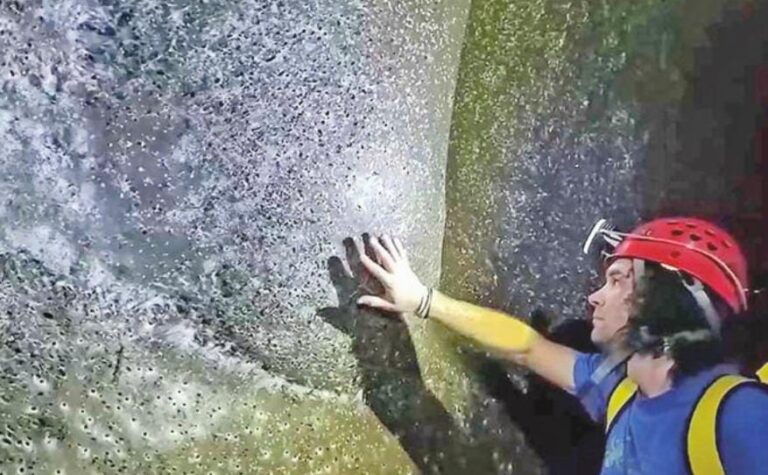 કુદરતનો ચમત્કાર: ઝેરી ગુફામાં 1.11 લાખ કરોળિયાઓનું સહઅસ્તિત્વ – માનવજાત માટે સહજીવનનો જીવંત પાઠ!