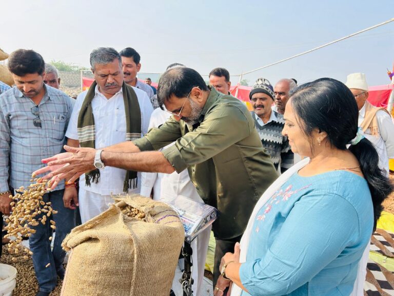 કેશોદમાં મગફળી ખરીદીનો શુભારંભ: ખેડૂતોને પોષણક્ષમ ભાવ મળે તે માટે સરકારશ્રીની પહેલ