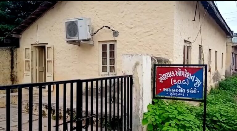 સાયલા ખાતે કપાસની આડમાં ઉગાડાતો ‘હરિયો ઝેર’: સૂર્યોદય પહેલાં SOGની ધડાકેબાજ રેડથી 2.75 કરોડનો ગાંજા પ્લાન્ટેશન પર્દાફાશ