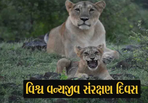 સમૃદ્ધ વનરાજીનો ગુજરાત: સિંહથી લઈ યાયાવર પક્ષીઓ સુધી.