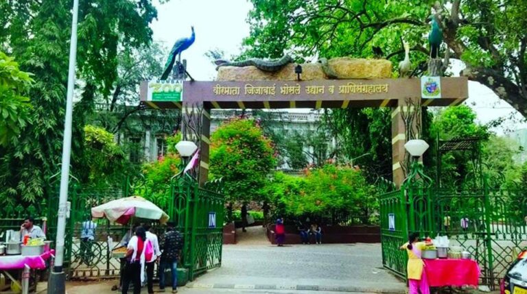 રાણીબાગમાં ‘એક્ઝોટિક ઝોન’નો ભવ્ય વિકાસ: હવે मुंबईમાં જ મળશે ઝીબ્રા–જિરાફ સાથે ડાઇનિંગનો અનોખો અનુભવ.