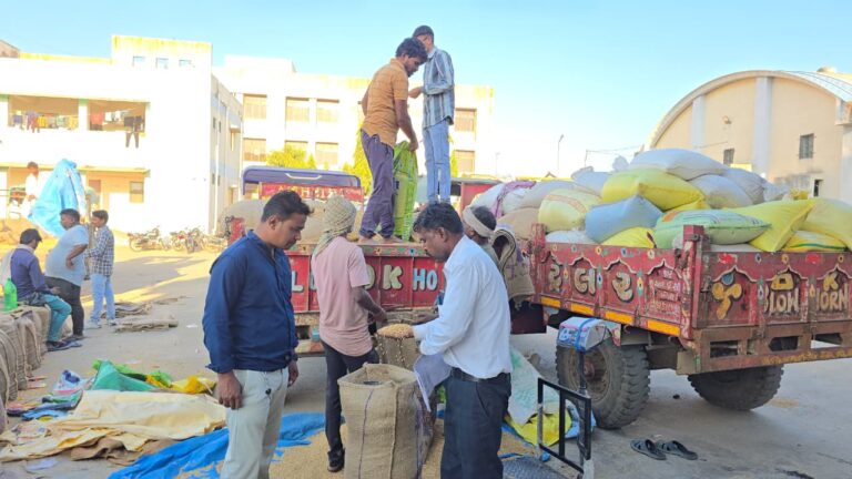 શહેરામાં ટેકાના ભાવે ડાંગર ખરીદી મુદ્દે ખેડૂતોમાં અસંતોષ – મોટી માર્કેટિંગ યાર્ડ હોવા છતાં પુરવઠા ગોડાઉનમાં ખરીદી, જગ્યા અને ભાવ બંને બન્યા પ્રશ્ન.