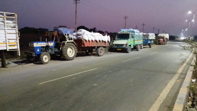 જામનગર માર્કેટિંગ યાર્ડમાં મગફળીની ઐતિહાસિક આવક.