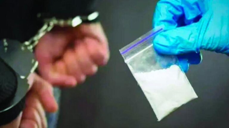 પિંપરી-ચિંચવડના ફ્લૅટમાં ‘ઇન-હાઉસ ગાંજા ફેક્ટરી’નો ભંડાફોડ.