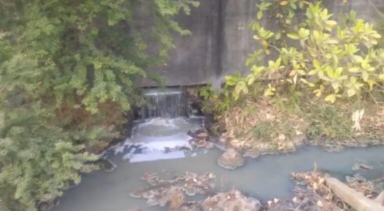 પલસાણા ટેક્સટાઈલ ઝોનમાં વિનાશનું તાંડવ: ઝેરી પાણીએ ખેતરો બરબાદ કર્યા, ખેડૂતો–પશુઓ અને માનવ આરોગ્ય ગંભીર જોખમમાં