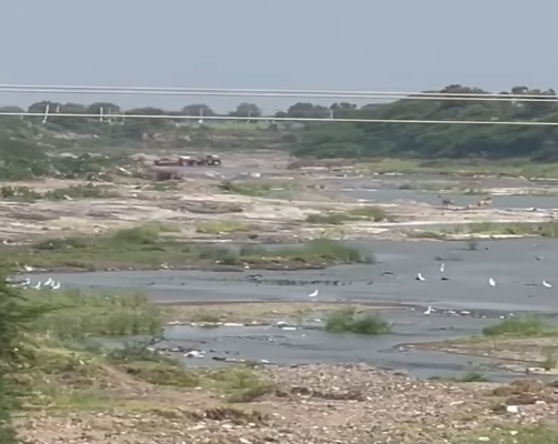 અમરેલીમાં ખનીજ માફિયાનો આતંક ઉછળ્યો : શેત્રુંજી નદીમાં રેતીચોરીનો કાળો ધંધો બેરોકટોક.