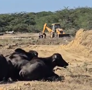 બેટ દ્વારકામાં ખનીજ માફિયાઓનો બેફામ તાંડવ: ખાનગી ખેતીની જમીનમાં બિનમંજુરી ખોદકામ, લાખોનું નુકસાન.