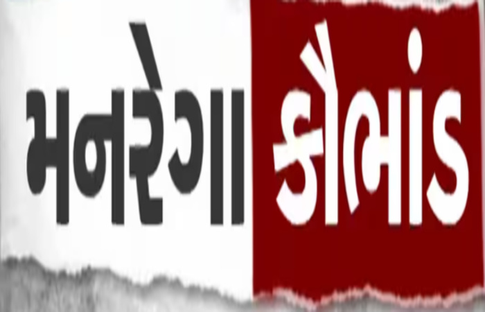 મહેસાણા જિલ્લામાં મનરેગા કૌભાંડનો વધુ એક વિસ્ફોટ – બહુચરાજીમાં ભાજપના જ ડેલીગેટ પર ગંભીર આક્ષેપો, તપાસની માંગ ઉઠી.