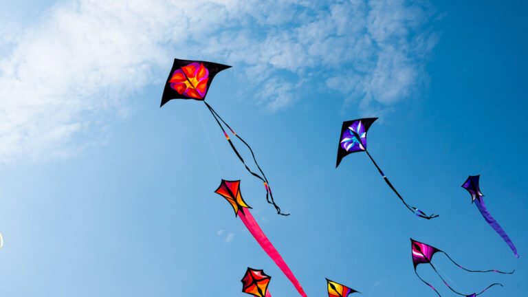 ઉતરાયણ માટે રાજકોટ પોલીસનું કડક જાહેરનામું.