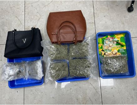 સુરત ઈન્ટરનેશનલ એરપોર્ટ પર કસ્ટમ્સનો મોટો સપાટો બેંગકોકથી આવેલી મહિલા પાસેથી રૂ.૧ કરોડથી વધુ કિંમતનો ૩.૧૧ કિલો ‘હાઈડ્રોપોનિક ગાંજો’ જપ્ત; આરોપીની ધરપકડ