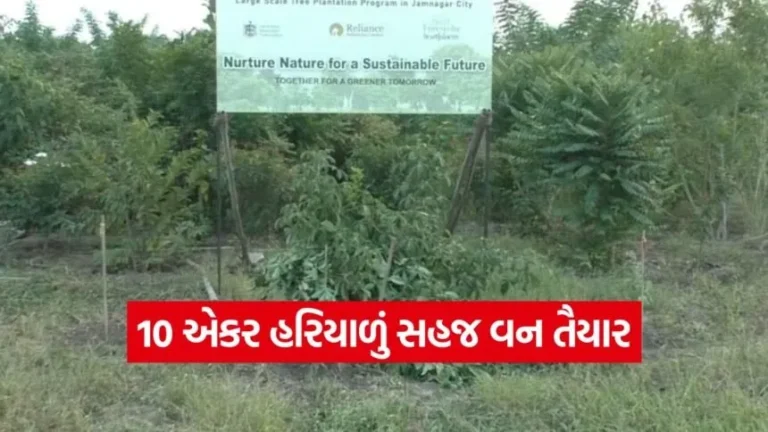 જામનગરમાં ‘સહજ વન’નું સર્જન : 10 એકર ભૂમિ પર હરીયાળીનું અનોખું સ્વપ્ન.